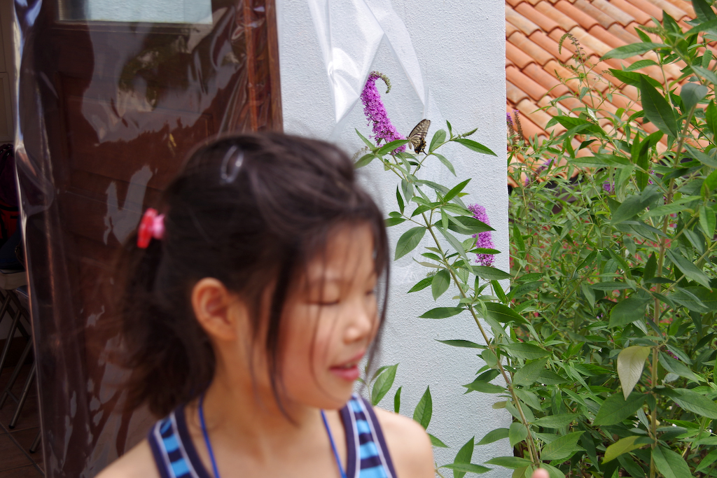 IMGP1320.jpg