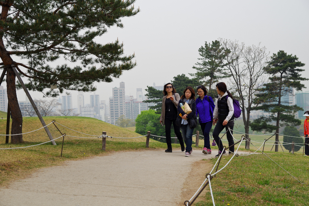 IMGP2877.jpg