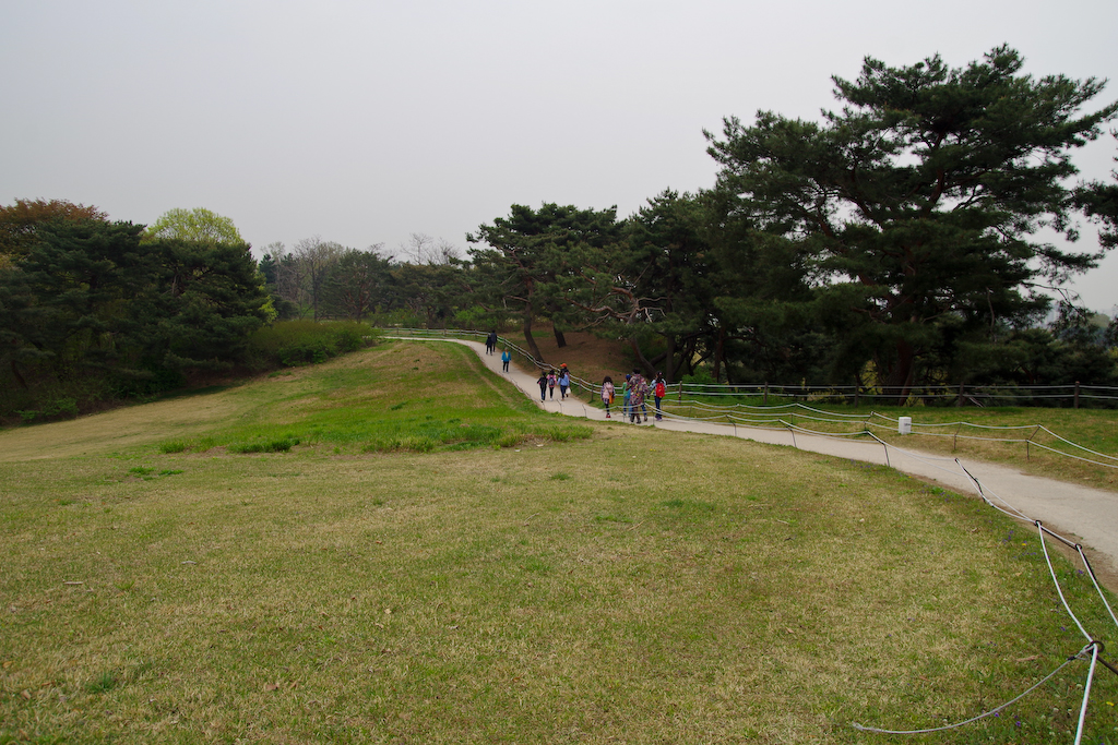 IMGP2878.jpg