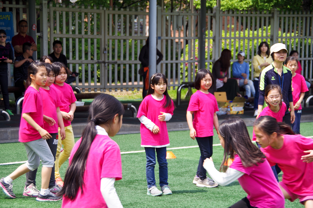 IMGP3195.jpg