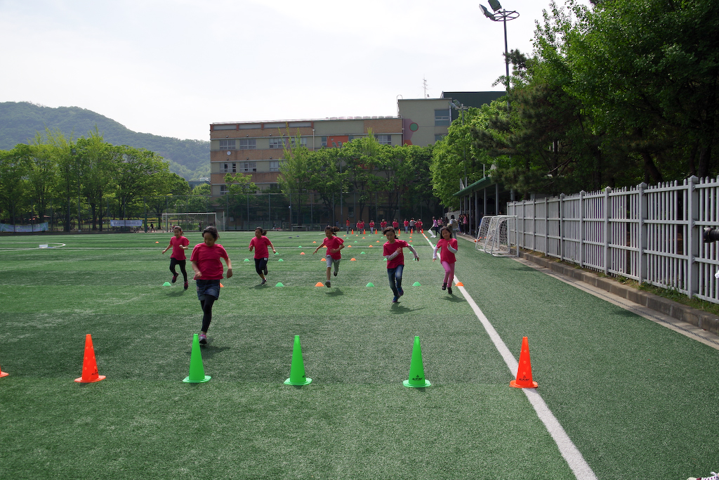 IMGP3035.jpg