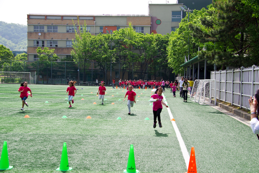 IMGP2973.jpg