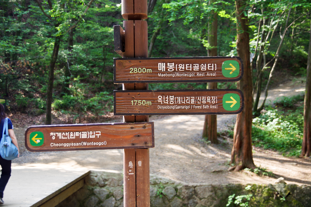 IMGP0754.jpg
