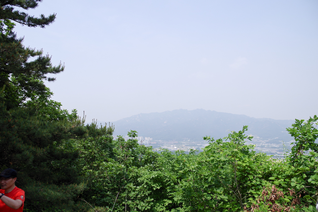 IMGP0773.jpg