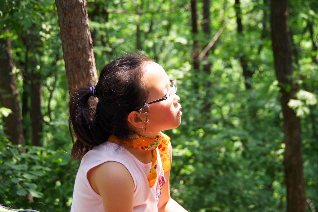 IMGP0772.jpg