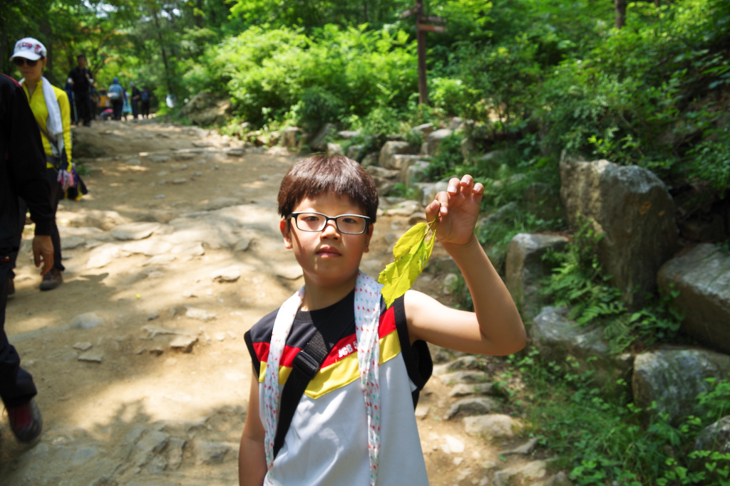IMGP0798.jpg