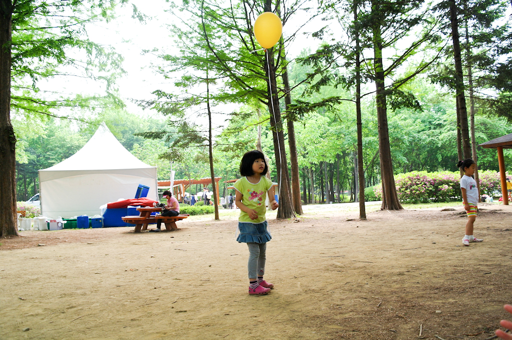 06.jpg