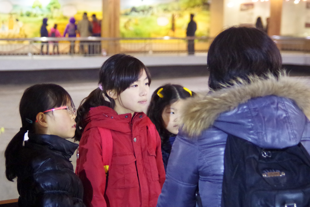 IMGP2706.jpg