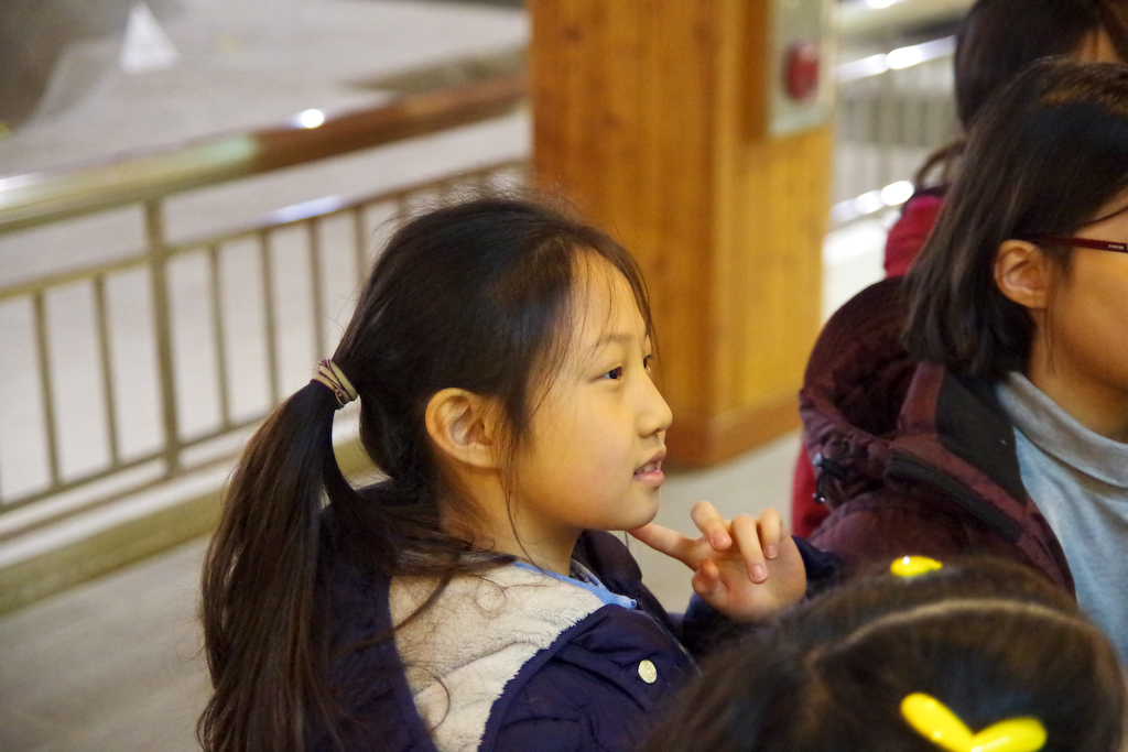 IMGP2723.jpg