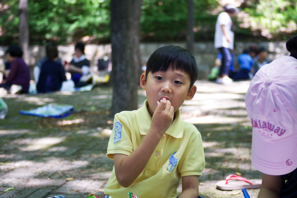 IMGP3897.jpg