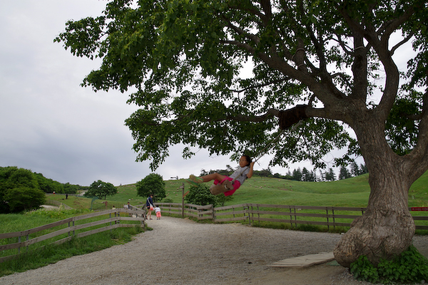 IMGP1038.jpg