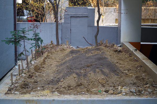 IMGP2811.jpg