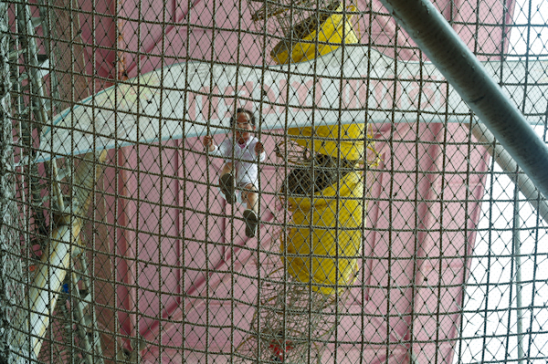 04242921.jpg