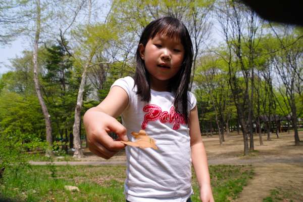 04283011.jpg