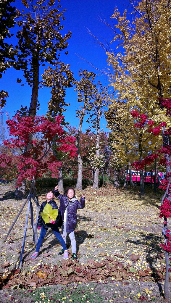 IMAG0208_1024.jpg