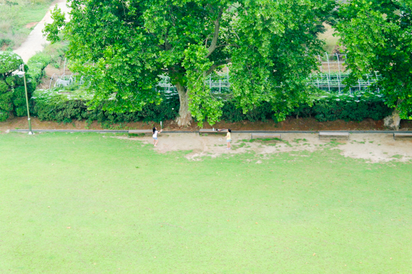 07093788.jpg