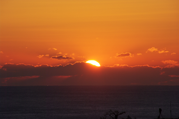 JXX_0073.jpg