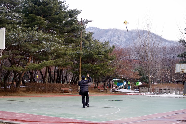 IMGP2576_600.JPG