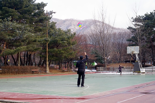 IMGP2582_600.JPG