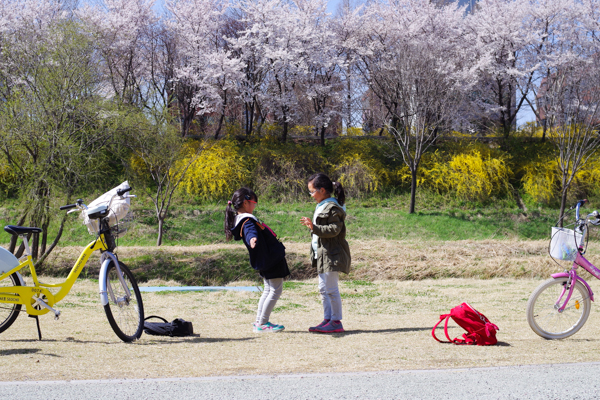 IMGP0212.jpg