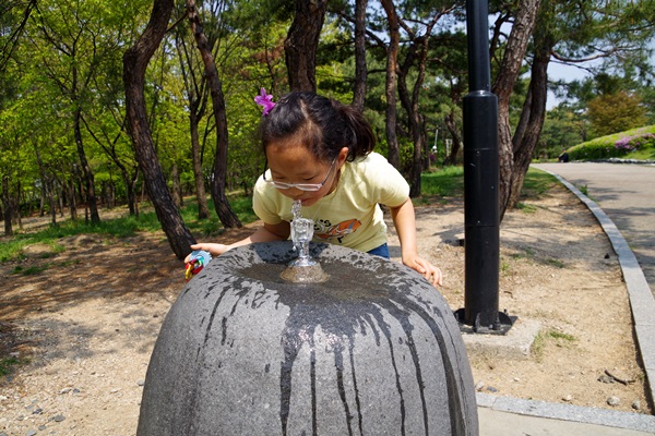 IMGP0392.jpg