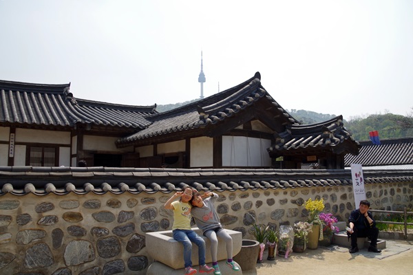 IMGP0378.jpg
