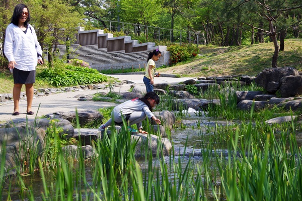 IMGP0403.jpg