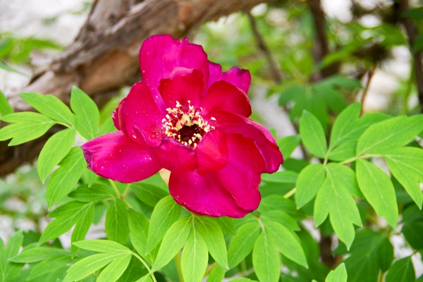 IMGP0473.jpg