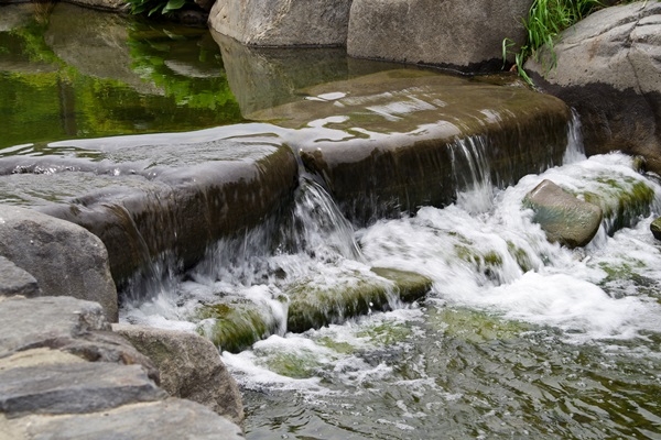 IMGP0470.jpg