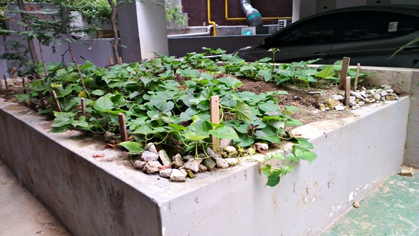 IMAG0116.jpg