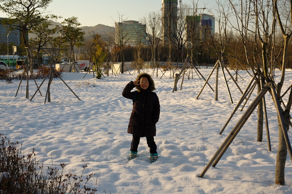 12094711_1024.jpg