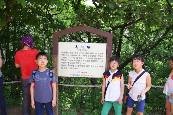 IMGP0774.jpg