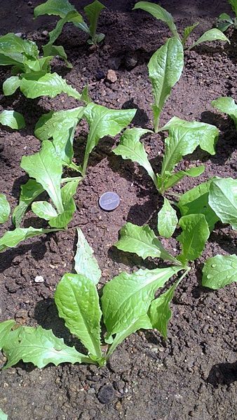 2013-05-25 10.53.33.jpg