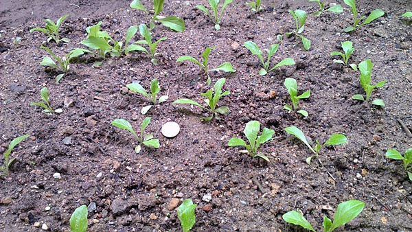 2013-05-12 11.02.14.jpg